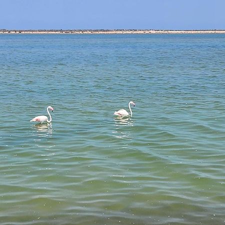 La Manga Del Mar Menor Los Miradores Block 1 5Th Floor G Μούρθια Εξωτερικό φωτογραφία